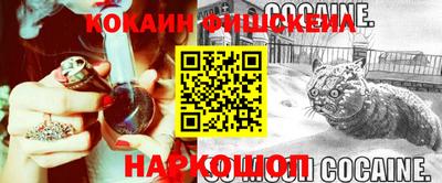 спиды Кимры