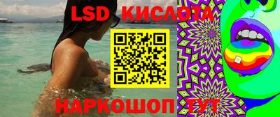 спиды Кимры