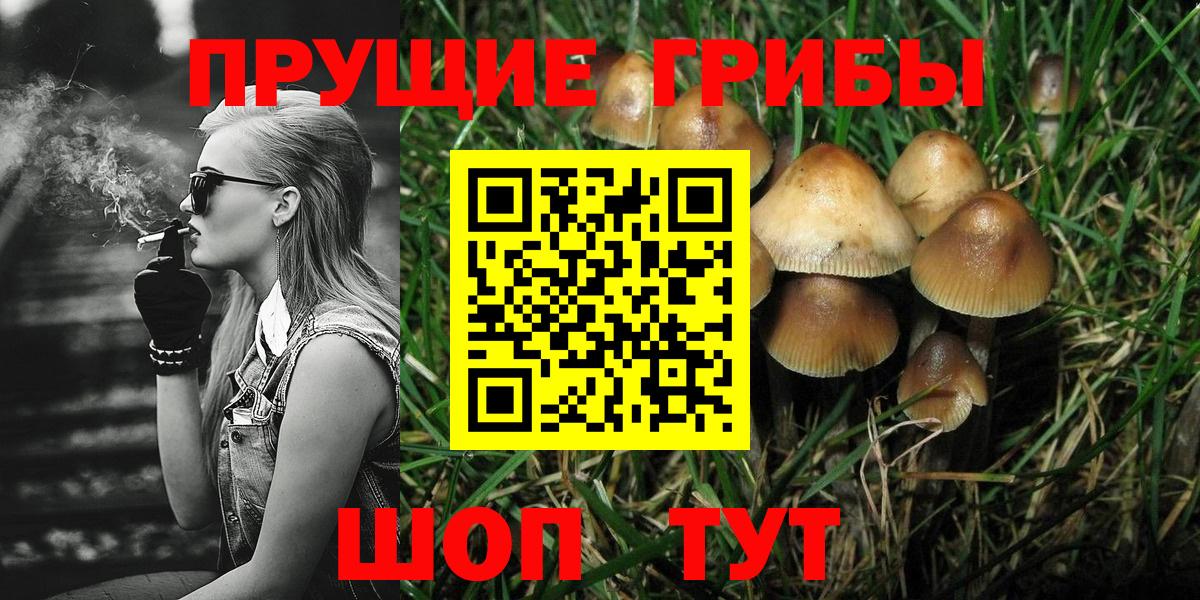 Георгиевск  Псилоцибиновые грибы MAGIC MUSHROOMS  Вход с VPN 