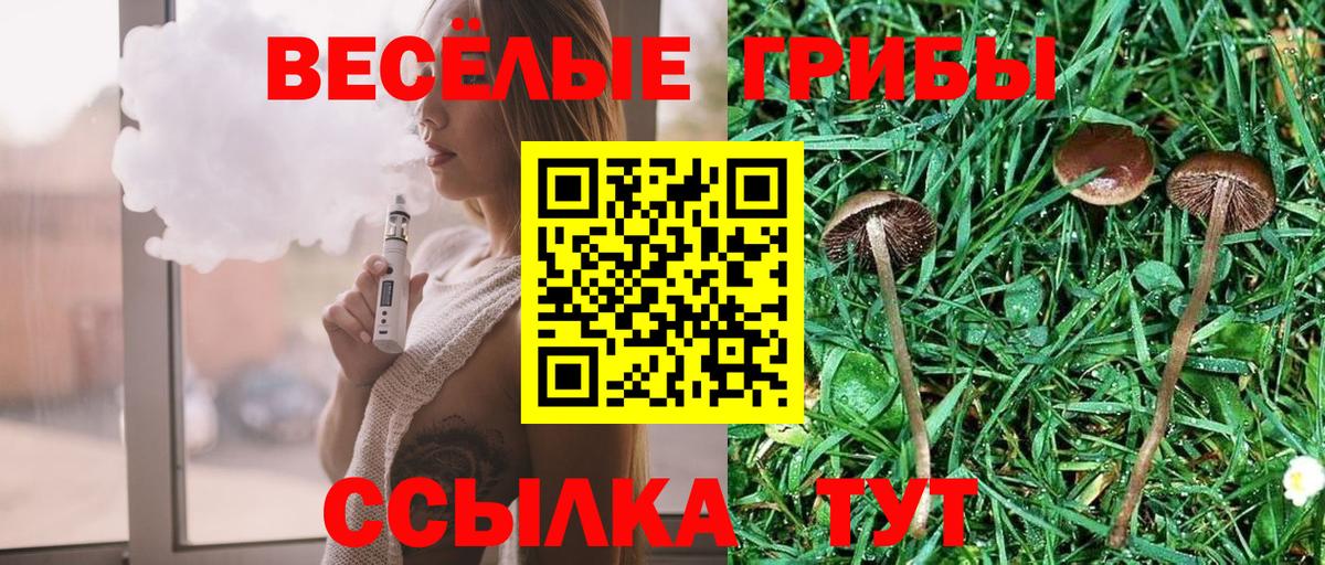 Псилоцибиновые грибы ЛСД Георгиевск